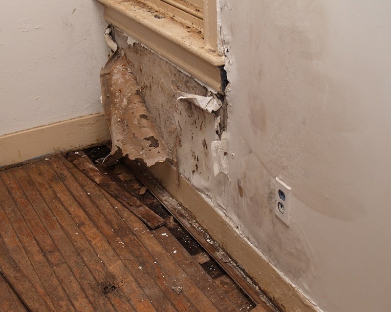 The Importance of Knowing the Signs of Water Damage and Hiring a Water Damage Restoration Company